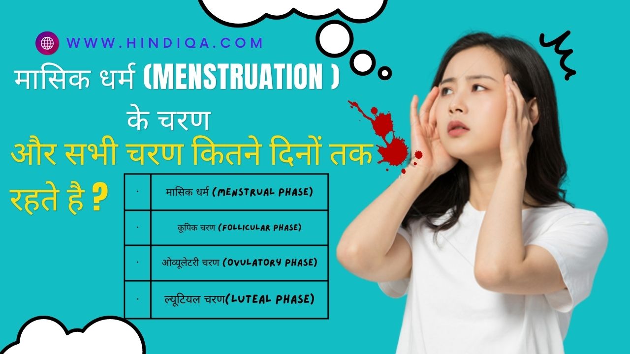 4 phases of Mensturation