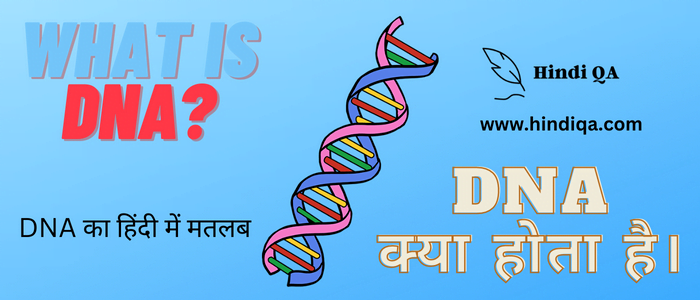 DNA Meaning in Hindi